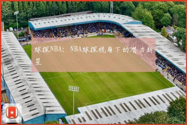 球探NBA：NBA球探视角下的潜力新星