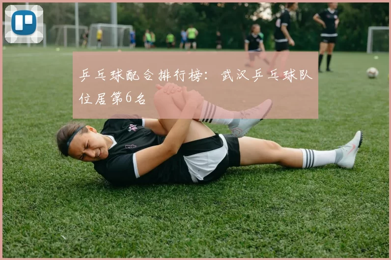 乒乓球配合排行榜：武汉乒乓球队位居第6名