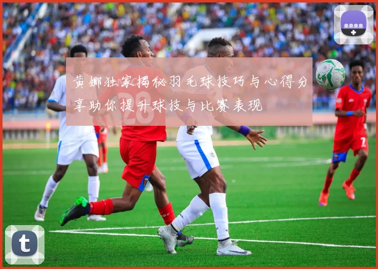 黄娜独家揭秘羽毛球技巧与心得分享助你提升球技与比赛表现
