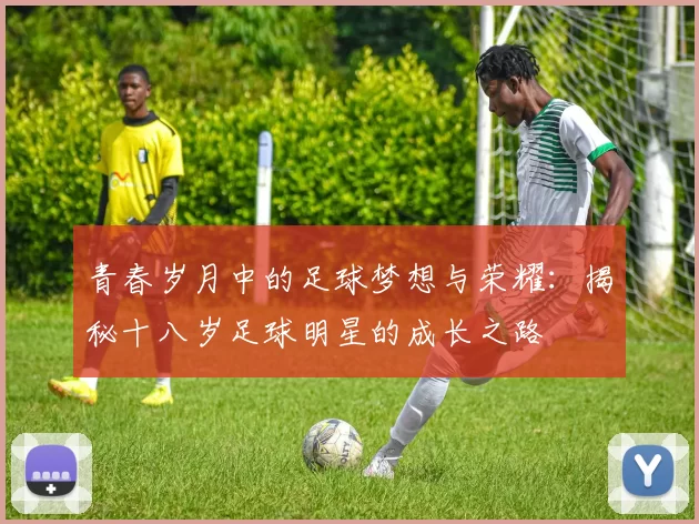 青春岁月中的足球梦想与荣耀：揭秘十八岁足球明星的成长之路