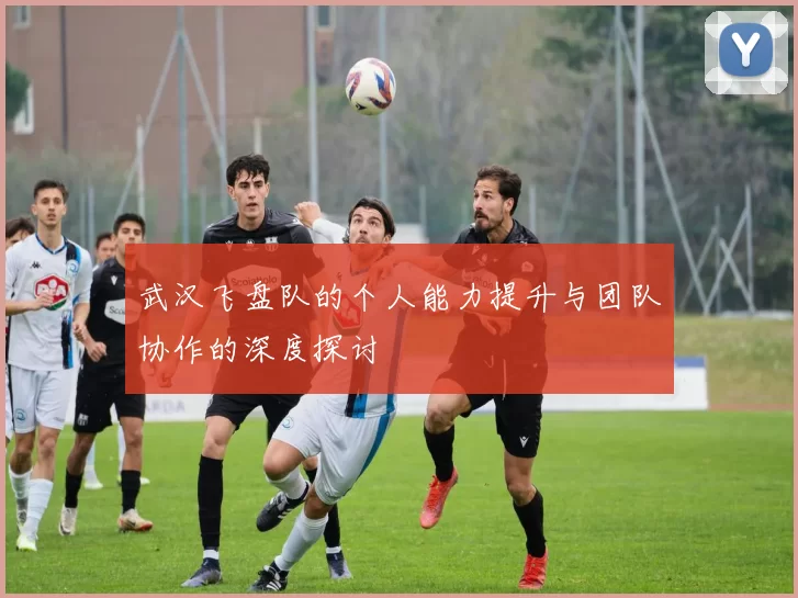 武汉飞盘队的个人能力提升与团队协作的深度探讨