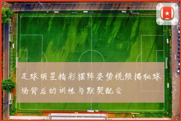 足球明星精彩摆阵姿势视频揭秘球场背后的训练与默契配合