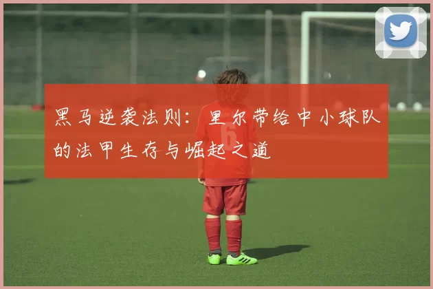 黑马逆袭法则：里尔带给中小球队的法甲生存与崛起之道