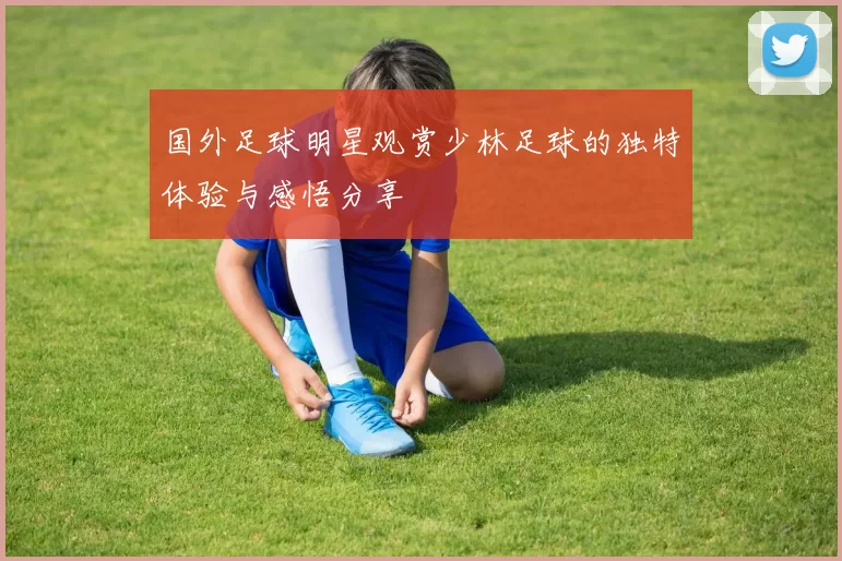 国外足球明星观赏少林足球的独特体验与感悟分享