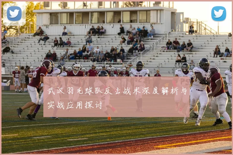 武汉羽毛球队反击战术深度解析与实战应用探讨