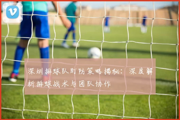 深圳排球队盯防策略揭秘：深度解析排球战术与团队协作