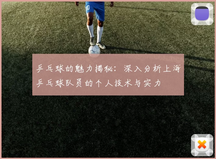 乒乓球的魅力揭秘：深入分析上海乒乓球队员的个人技术与实力