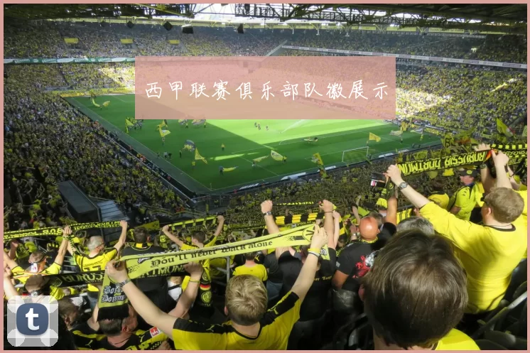 西甲联赛俱乐部队徽展示
