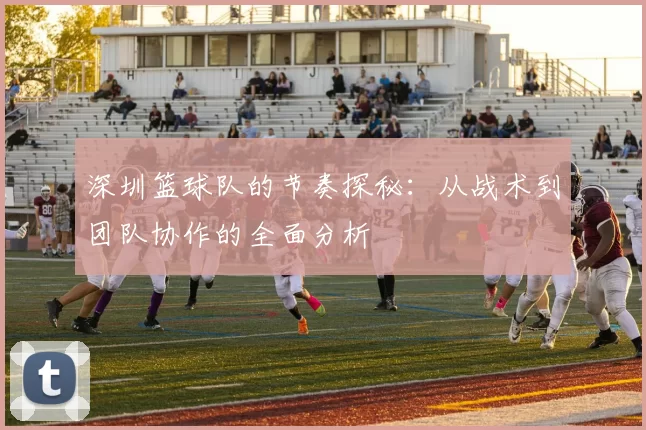 深圳篮球队的节奏探秘：从战术到团队协作的全面分析