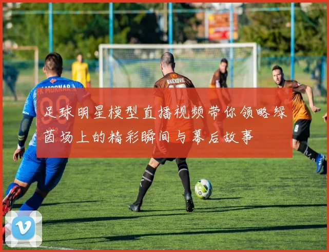 足球明星模型直播视频带你领略绿茵场上的精彩瞬间与幕后故事