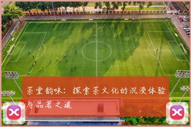茶堂韵味：探索茶文化的沉浸体验与品茗之道