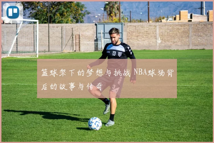 篮球架下的梦想与挑战 NBA球场背后的故事与传奇