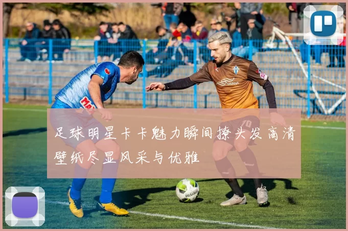 足球明星卡卡魅力瞬间撩头发高清壁纸尽显风采与优雅
