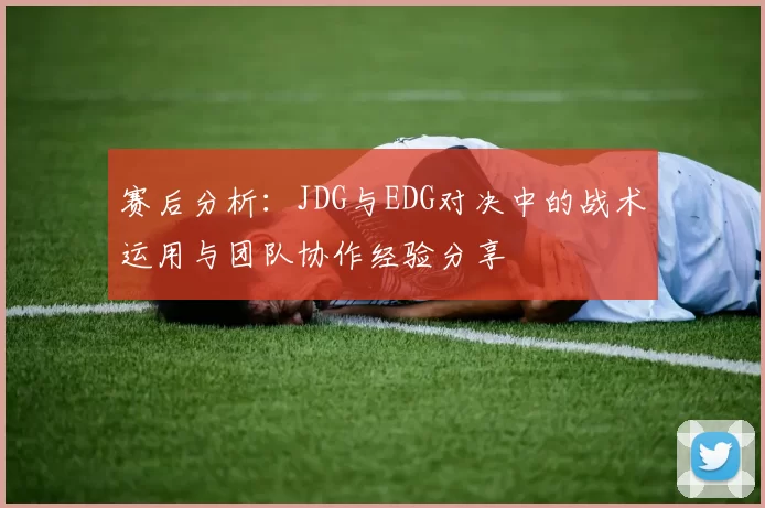 赛后分析：JDG与EDG对决中的战术运用与团队协作经验分享
