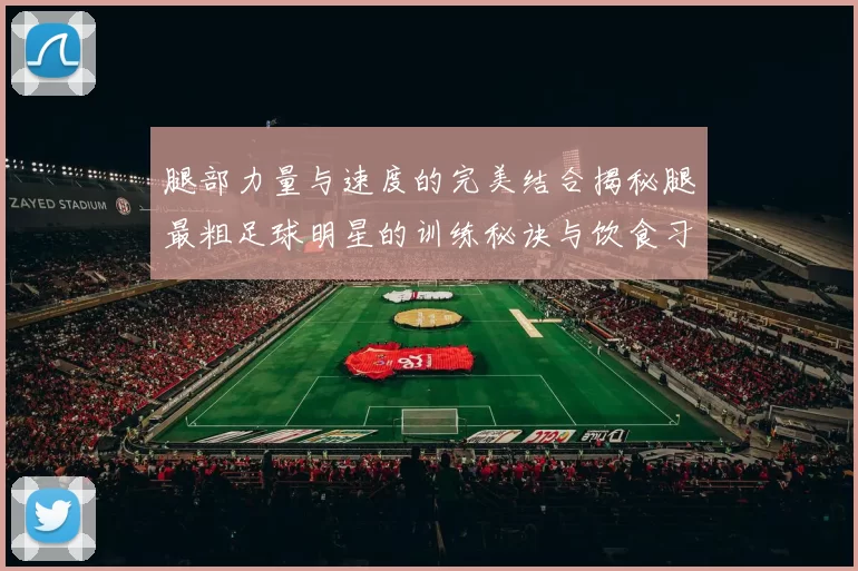 腿部力量与速度的完美结合揭秘腿最粗足球明星的训练秘诀与饮食习惯
