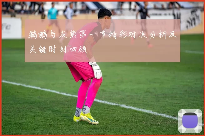 鹈鹕与灰熊第一节精彩对决分析及关键时刻回顾