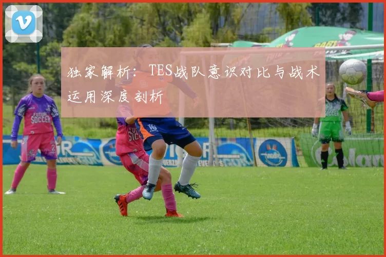 独家解析：TES战队意识对比与战术运用深度剖析