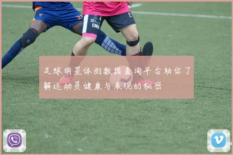 足球明星体测数据查询平台助你了解运动员健康与表现的秘密