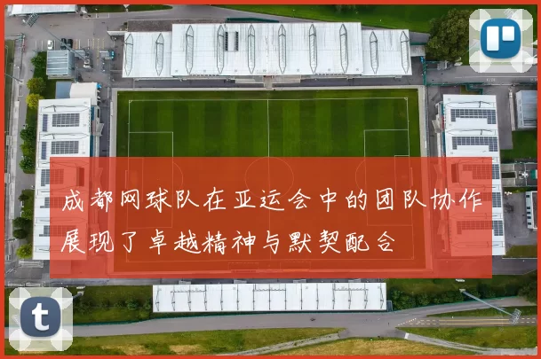 成都网球队在亚运会中的团队协作展现了卓越精神与默契配合