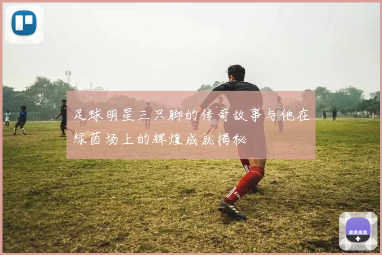 足球明星三只脚的传奇故事与他在绿茵场上的辉煌成就揭秘