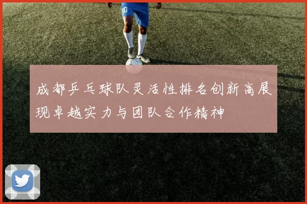成都乒乓球队灵活性排名创新高展现卓越实力与团队合作精神