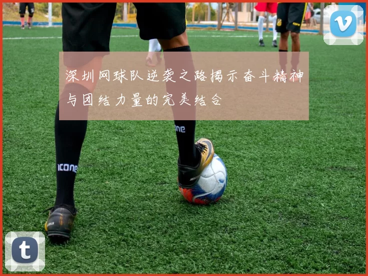深圳网球队逆袭之路揭示奋斗精神与团结力量的完美结合