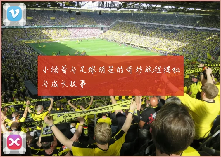 小杨哥与足球明星的奇妙旅程揭秘与成长故事