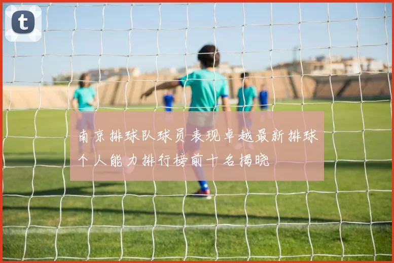 南京排球队球员表现卓越最新排球个人能力排行榜前十名揭晓