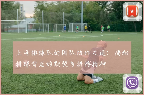 上海排球队的团队协作之道：揭秘排球背后的默契与拼搏精神