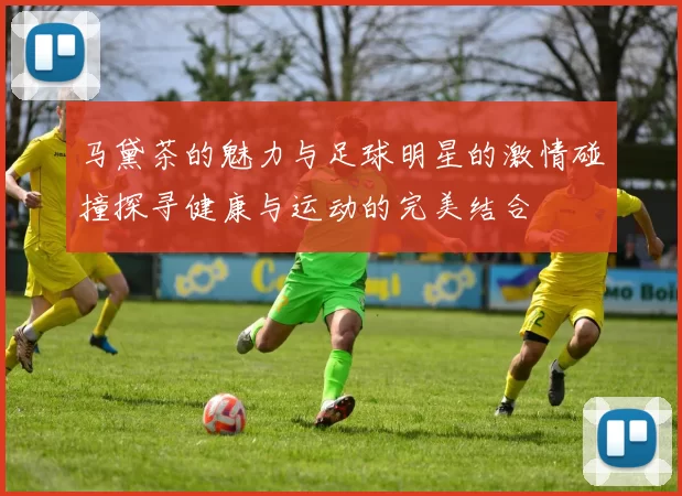 马黛茶的魅力与足球明星的激情碰撞探寻健康与运动的完美结合