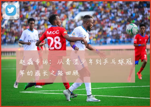 赵磊专访：从青涩少年到乒乓球冠军的成长之路回顾
