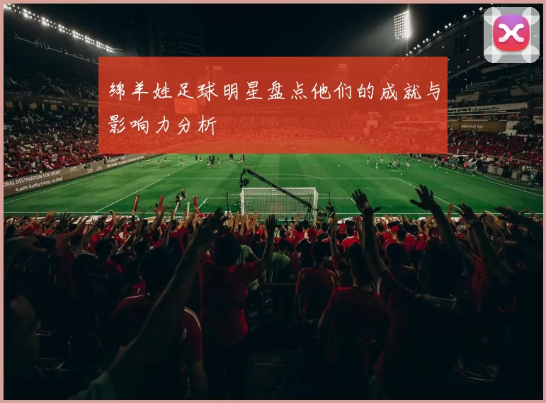 绵羊姓足球明星盘点他们的成就与影响力分析