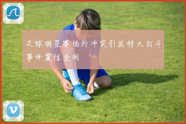 足球明星赛场外冲突引发特大打斗事件震惊全网