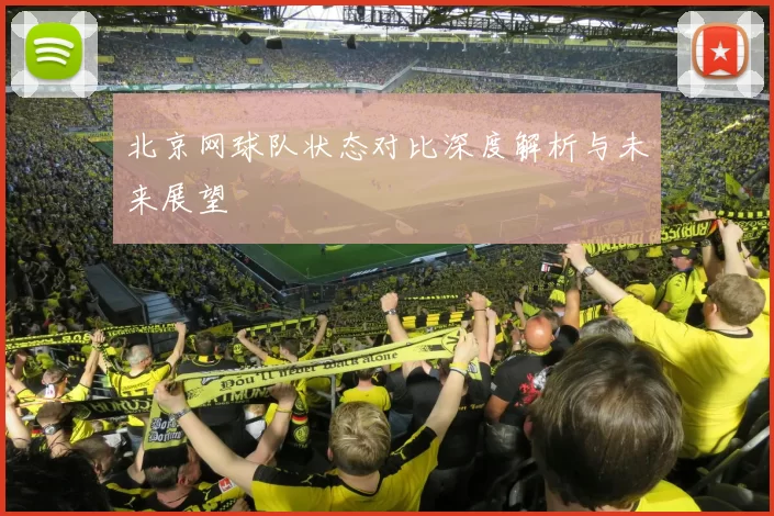 北京网球队状态对比深度解析与未来展望