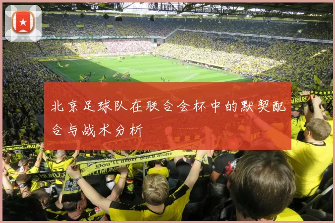 北京足球队在联合会杯中的默契配合与战术分析