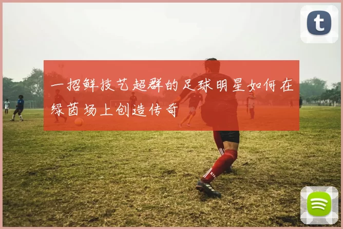 一招鲜技艺超群的足球明星如何在绿茵场上创造传奇