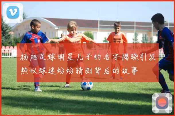 杨旭足球明星儿子的名字揭晓引发热议球迷纷纷猜测背后的故事