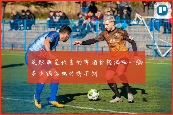 足球明星代言的啤酒价格揭秘一瓶多少钱你绝对想不到