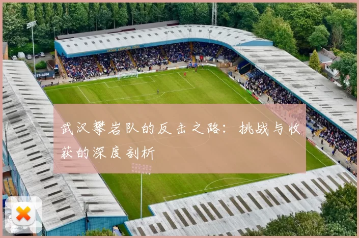 武汉攀岩队的反击之路：挑战与收获的深度剖析