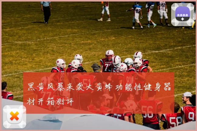 黑黄风暴来袭大黄蜂功能性健身器材开箱测评